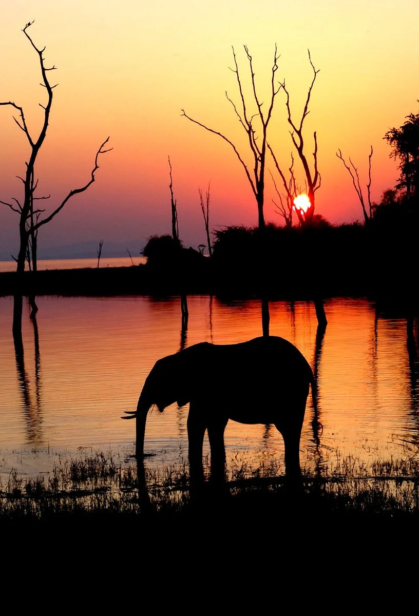 Matusadona Lake Kariba 07