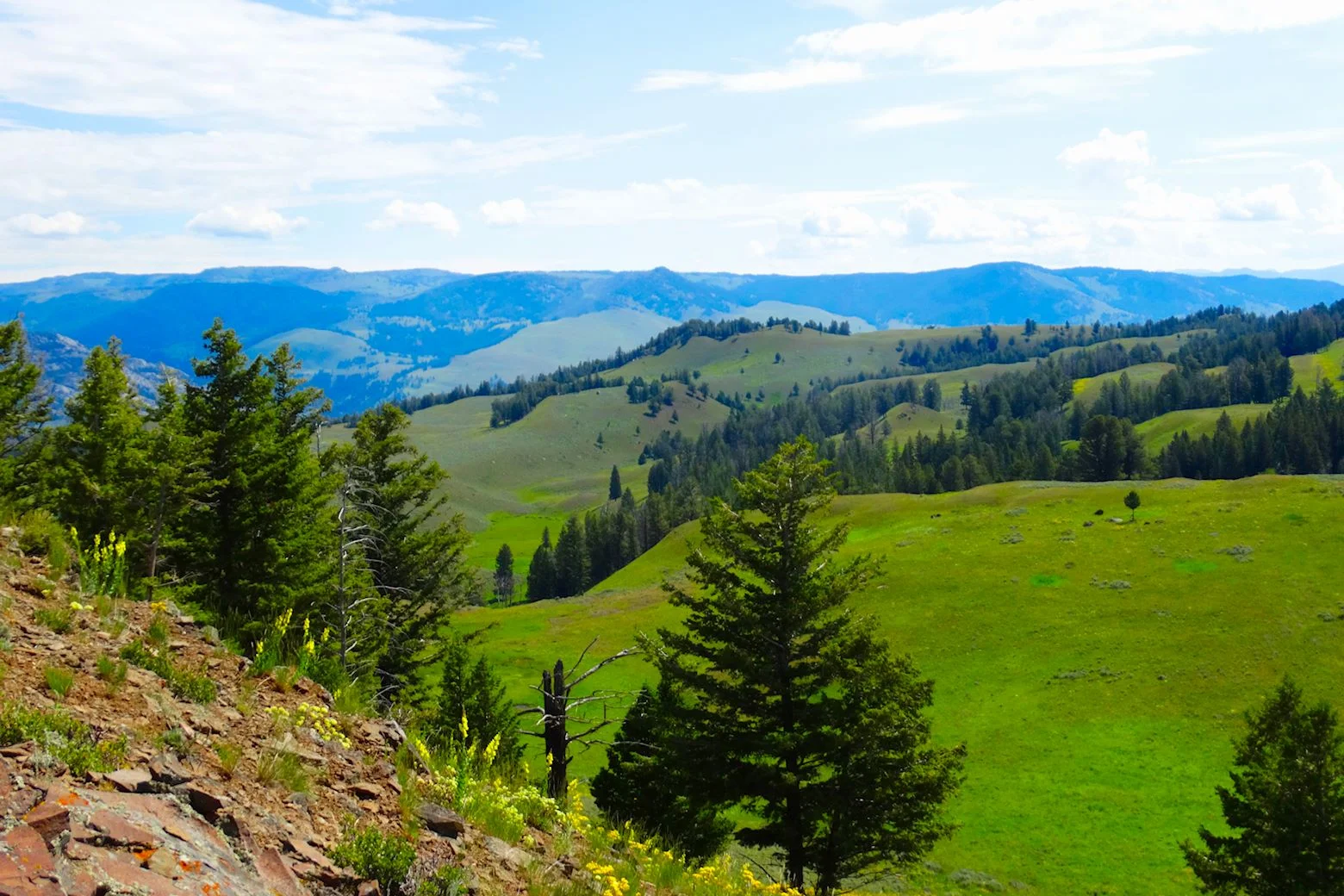 Yellowstone