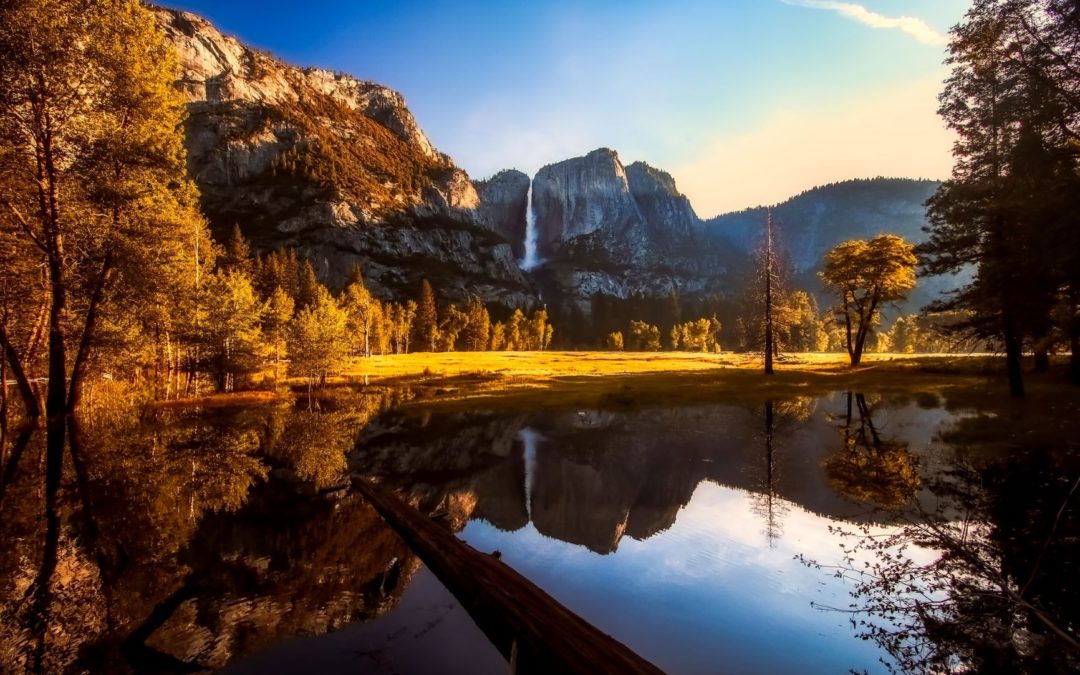 Some of our Favorite National Parks