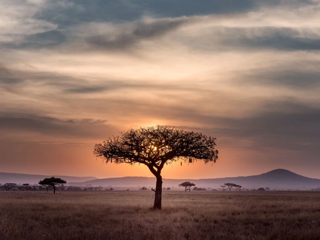 Serengeti