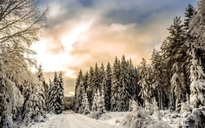 Best Places to Visit in Sweden