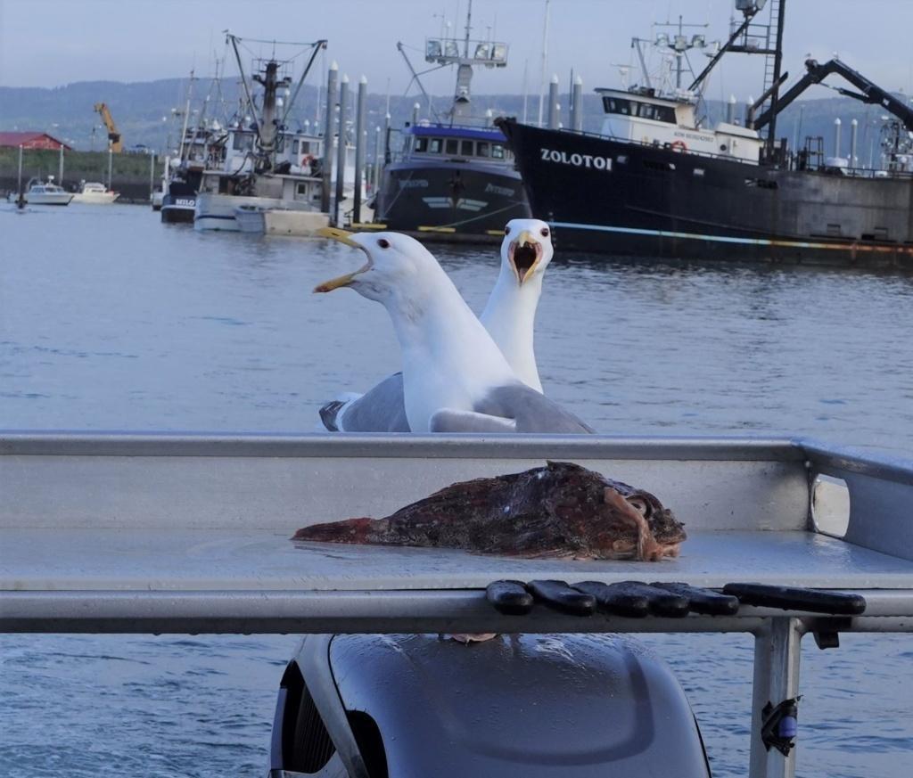 catching a ride