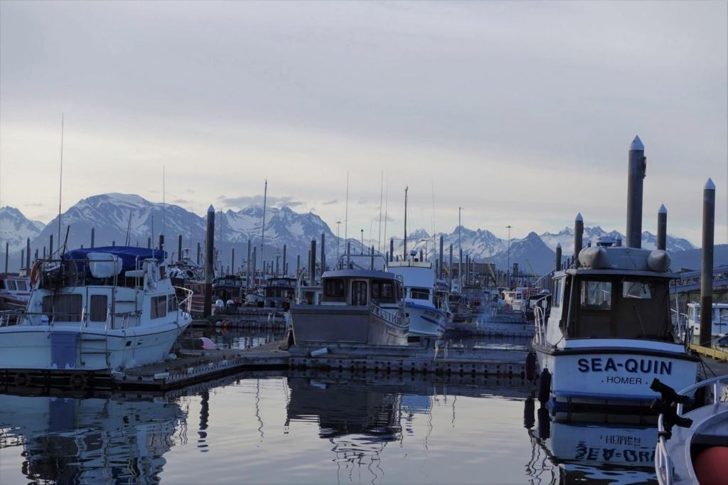 Homer Dock
