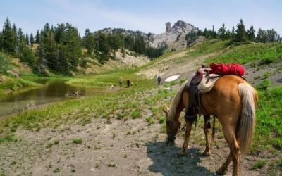 Slow down and take a Wyoming Pack Trip