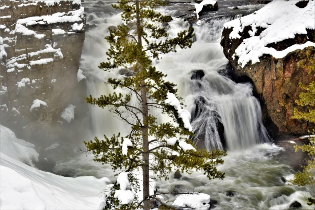 yellowstone