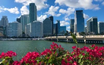 Incredible Places to Eat in Miami