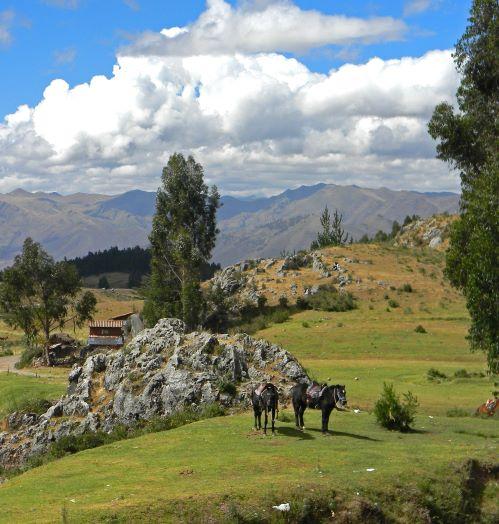 Riding throuh the Andes - LFT Peru