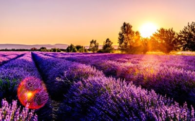 12 Best Cities to Visit in France