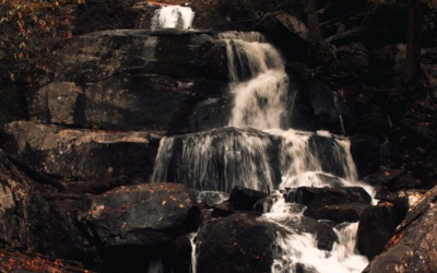 Nature’s Masterpiece: Unveiling the Beauty of Smoky Mountain National Park during Fall