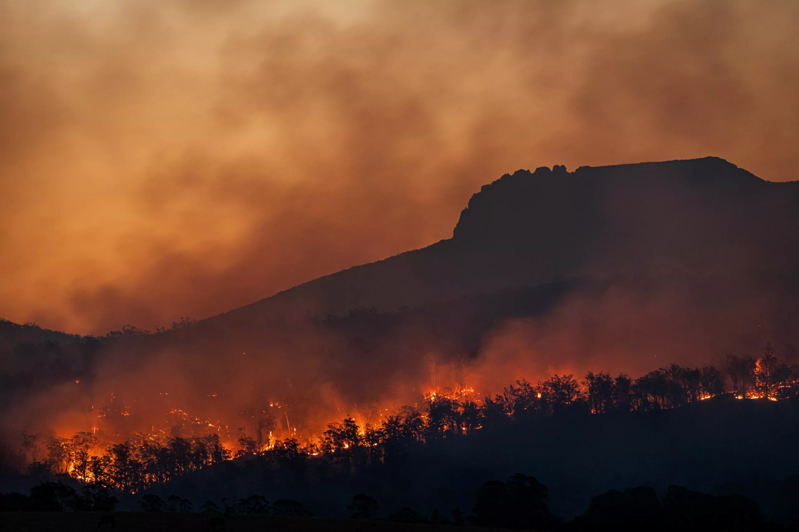 Why Climate Change Matters: Understanding the Threat to Our Planet