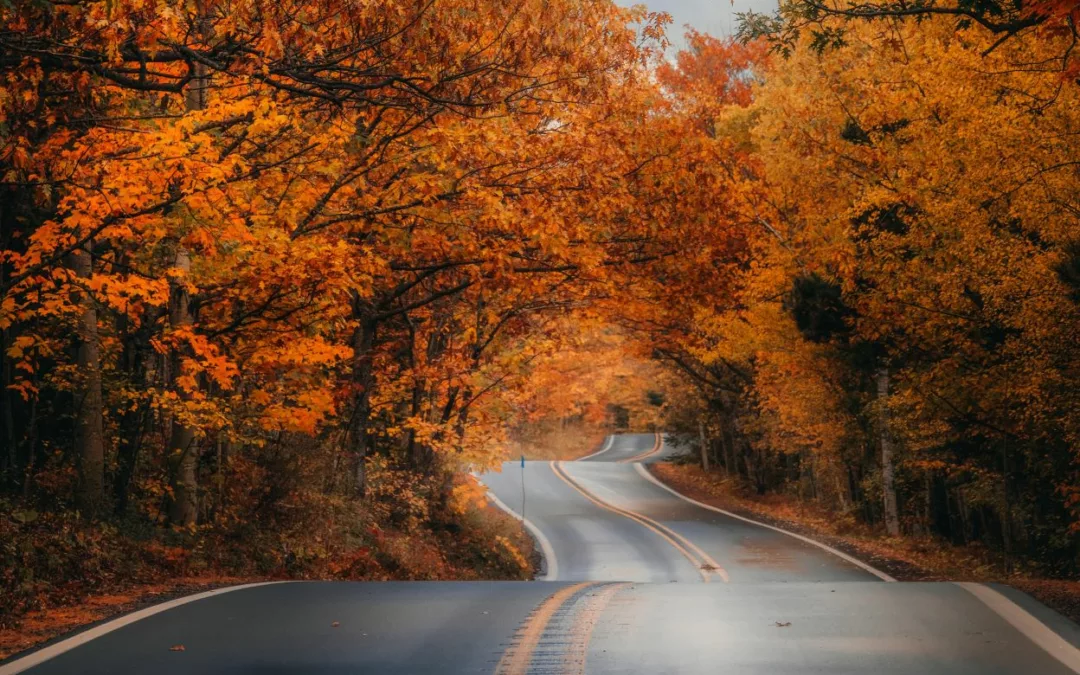 Fall Road Trips: Embrace the Season’s Beauty with These Captivating Routes