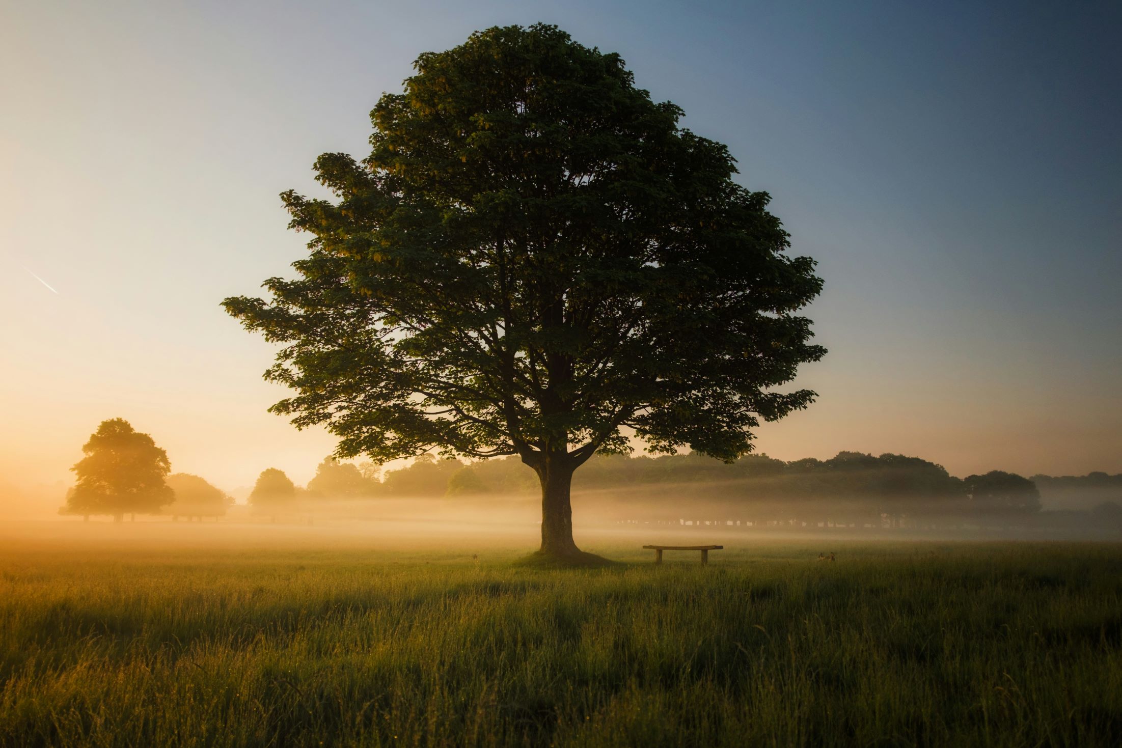 5 Simple Ways to Celebrate Earth Day and Make a Positive Impact