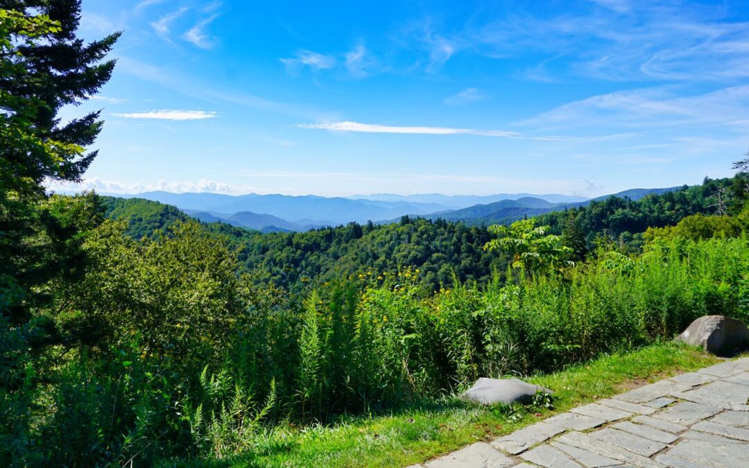 Discovering the Natural Beauty of Smoky Mountain National Park