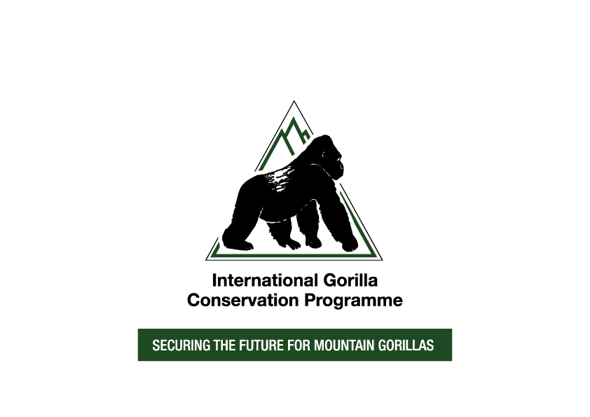 International Gorilla Conservation